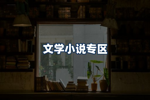 文学小说PDF展示
